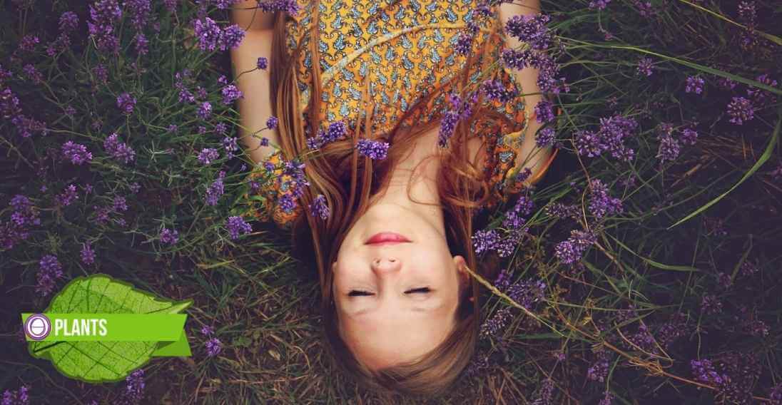theta healing σεμινάριο για τα φυτά
