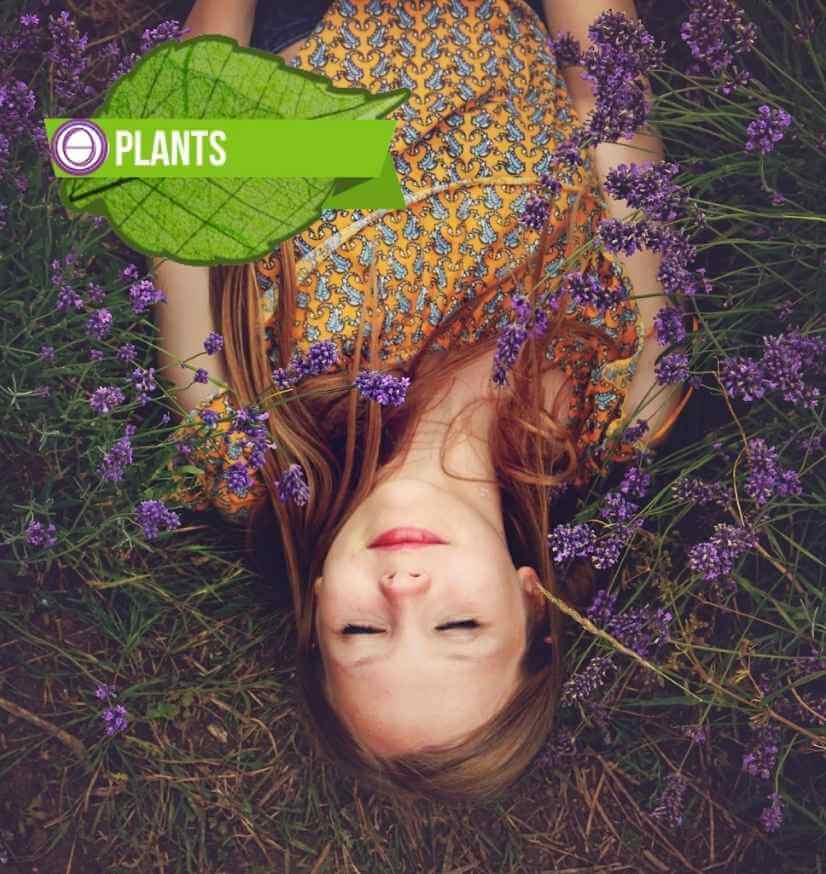 theta healing σεμινάριο για τα φυτά