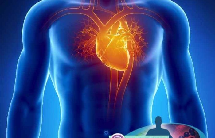 σεμινάριο theta healing διαισθητική ανατομία